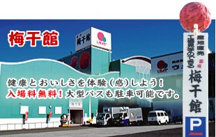 garden和歌山がおすすめする！夏の和歌山デートプランをご紹介！