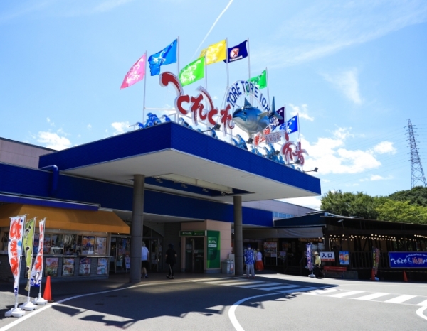 春の和歌山おすすめデートプラン