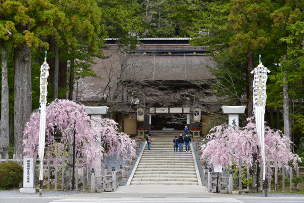 春の和歌山おすすめデートプラン
