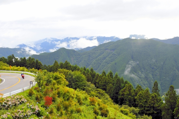 春の和歌山おすすめデートプラン